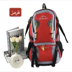 کوله پشتی مسافرتی و ورزشی پارچه ای چهار جیب بیرونی - Image 4