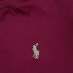 تیشرت نخی پنبه سوپر گلدوزی شده نوجوان Polo یقه کشباف مدل لش - تصویر 2