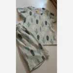 ست تیشرت و شلوارک راحتی پسرانه پارچه کبریتی سایز 1 تا 9 سال - تصویر 7